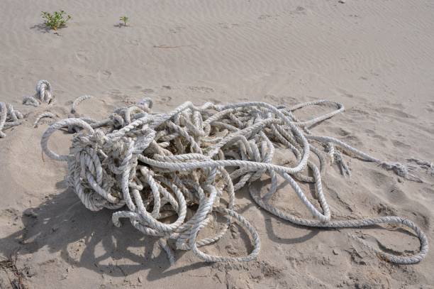 istock tangled rope on a beach in Oregon  in the daytime 1491773947
