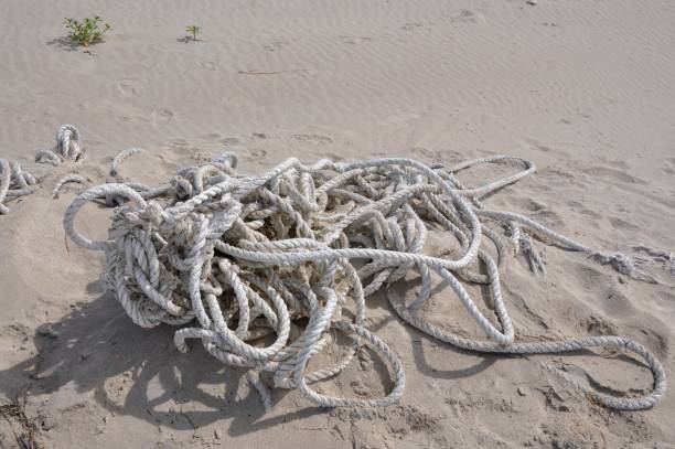 tangled rope on a beach in Oregon  in the daytime stock photo