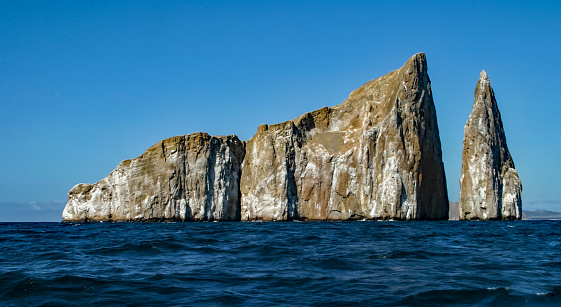 Kicker Rock (or Leon Dormido as it´s known in Spanish) is the remnant of an eroded cone of an extinct volcano, towering over 140 meters tall (500 feet) above the water and located northwest of San Cristóbal Island. From the south, it looks like a sleeping lion, hence the Spanish name, and from the other side the shape resembles a boot, hence the name kicker rock. The rock is an excellent dive site, as it´s usual to spot Galapagos and White-tip Sharks, Large Rays, Reef fish, sea turtles and sea lions. Above the surface, the rock is populated by Tropical birds, Blue-footed boobies, and Frigatebirds.