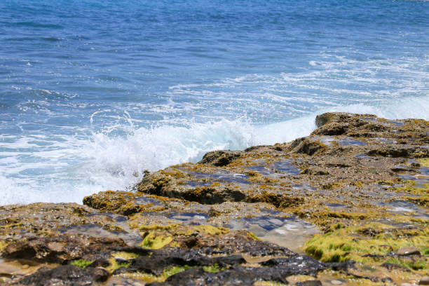 istock Waves crashing rocks on the shore 1491775633