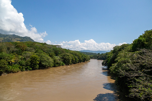 river of cloudy water in latin america next to many trees and the blue sky