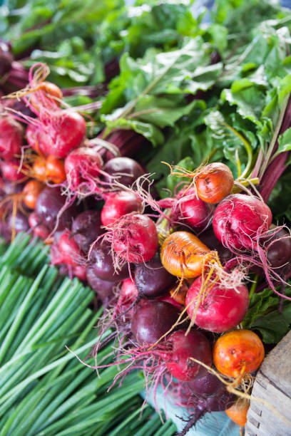 istock Rainbow beets at a farmer's market 1491783448