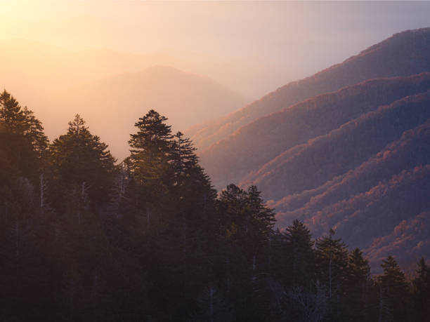 Autumn colors paint the slopes of Great Smoky Mountains National Park with vibrant hues and diverse foliage.
