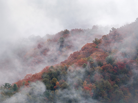 This is a photograph from the Great Smoky Mountains National Park in Tennessee, United States.