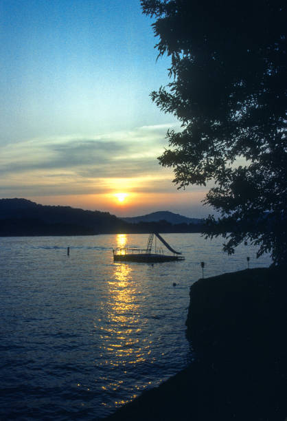 istock Lake of the Ozarks - Sunset Framed by Tree - 1985 1491783702