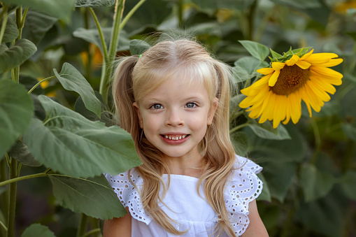 Portrait of a little girl with a sunflower in a field of sunflowers. Agriculture, childhood and summer.