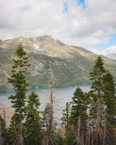 istock Lake Tahoe Area 1491784805