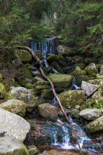 mały wodospad jako mały strumyczek spływający po kamieniach w górach obok górskiego szlaku - minature waterfall zdjęcia i obrazy z banku zdjęć