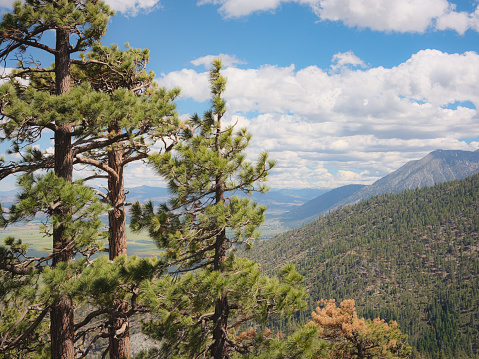 This is a photograph of the area around Lake Tahoe and Carson Valley in Nevada, United States.