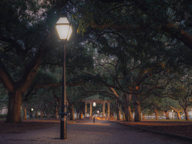 This is a photograph from Charleston, South Carolina.