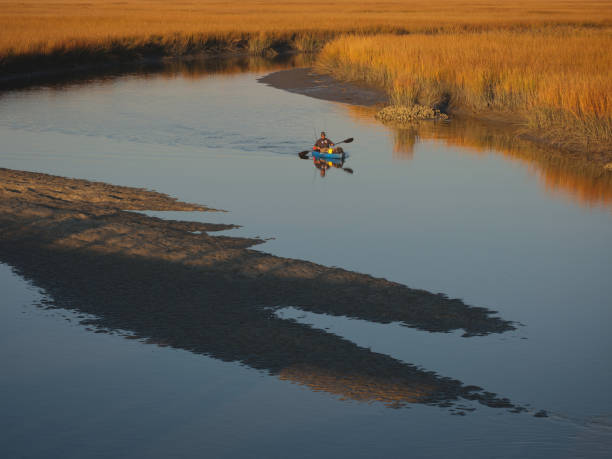 This is a photograph from Charleston, South Carolina.