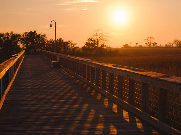 istock Charleston, South Carolina 1491786000