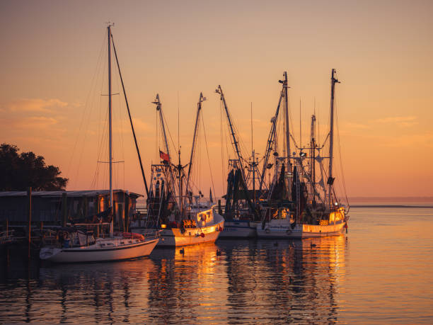 istock Charleston, South Carolina 1491786001
