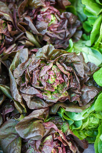 Close up of heads of red little gem lettuce at a farmer's market.