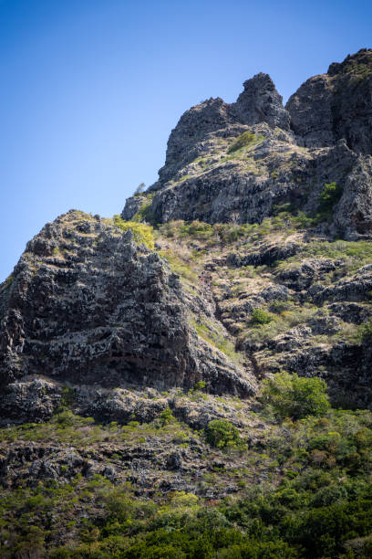 istock Montagne du Morne Brabant. Ile Maurice 1491788767