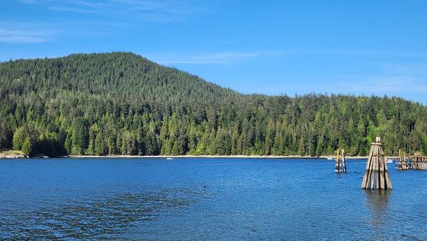 istock Beautiful blue ocean water with pine trees covered mountain at the background 1491798128