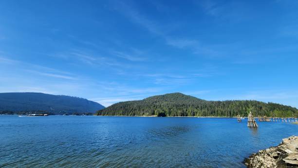 istock Beautiful blue ocean water with pine trees covered mountain at the background 1491798130