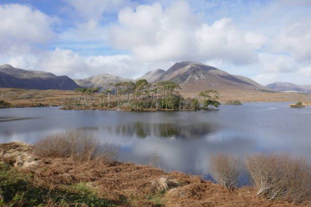 istock Mairos-Athry, Ireland 1491800769