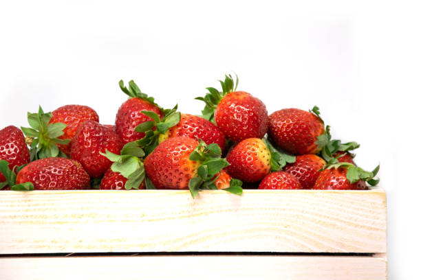 istock Fresh strawberries in a box on a white background with space for text. 1491801852