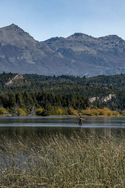 istock Young man practices sport fly fishing. 1491806830