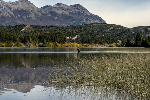 Young man practices sport fly fishing in the Rio Grande or Futaleufú, in Chubut, Patagonia Argentina.