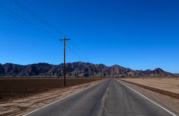 istock Traveling through Arizona farmland 1491811741