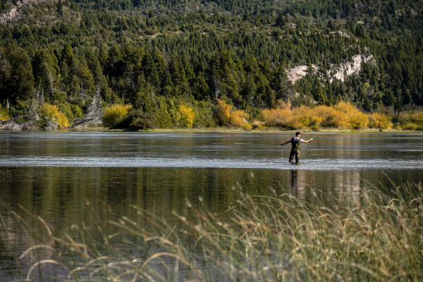 istock Young man practices sport fly fishing. 1491812777