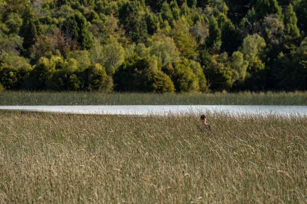 Young man walks through the reeds towards the camera in the Rio Grande or Futaleufú River, in Chubut, Patagonia Argentina.