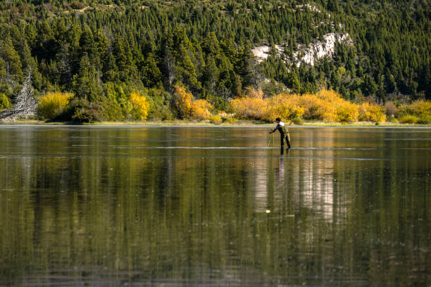 istock Young man practices sport fly fishing. 1491812932