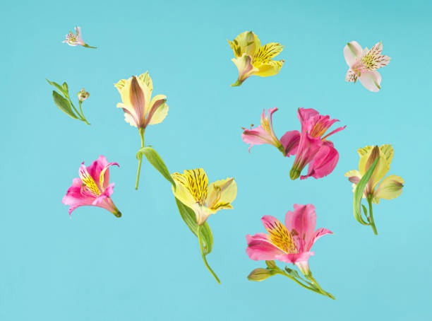 istock Creative concept of colorful floral pattern. 1491813503