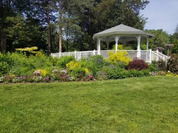istock Park and Pond Pictures 1491820704