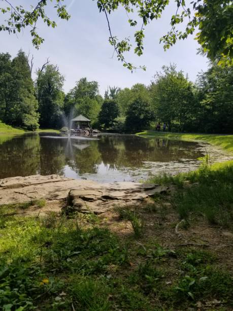 istock Park and Pond Pictures 1491820926