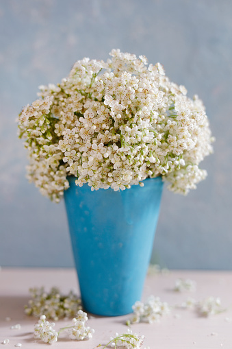 Summer flower bouquet in a vase