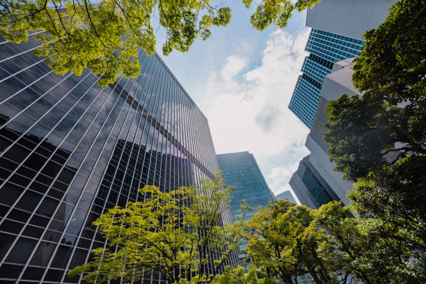 istock Panoramic view of urban city 1491834490