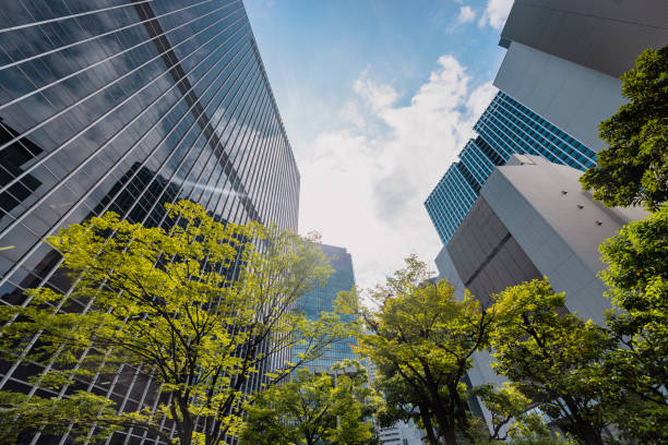 istock Panoramic view of urban city 1491835555