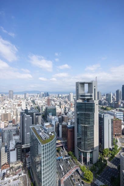 istock Panoramic view of urban city 1491835689