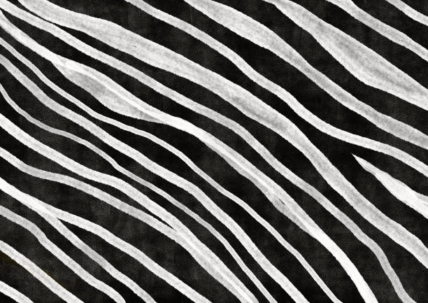 The painting mimics the skin of a zebra with alternating black and white stripes. Suitable for graphic design work, backgrounds and decorative works.