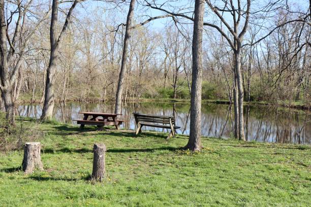 istock Bench near the Pond 1491836860
