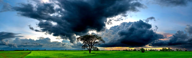 istock Panorama sunset sky and dark clouds over green rice fields.Fluffy cloud in the black sky background.Vivid sky on dark cloud before summer storm with color rainbow. 1491843029