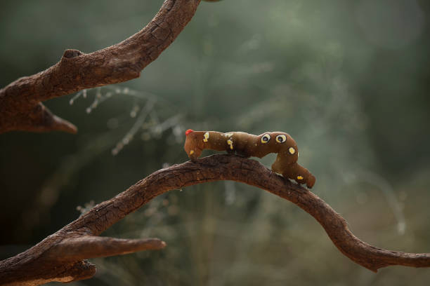 istock Beautiful Caterpillar In Beautiful Place 1491847009