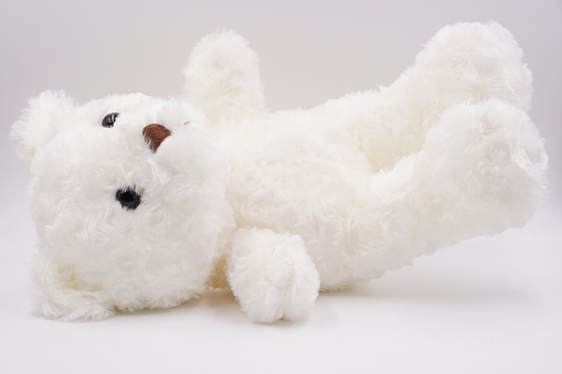 New white furry teddy bear