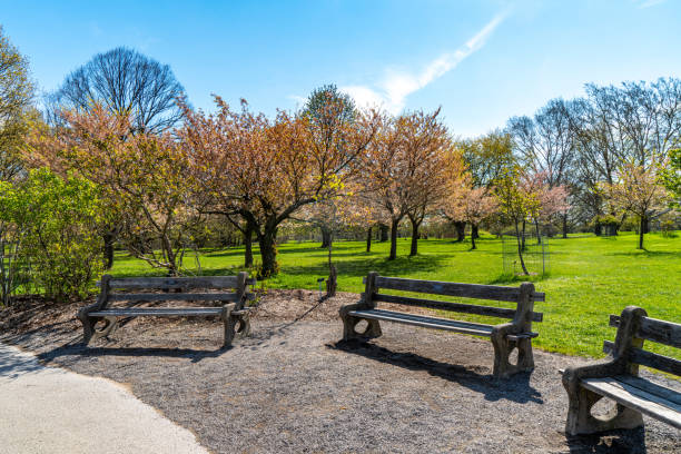 istock Hickory Valley Trail in Royal Botanical Gardens - Arboretum, Hamilton, Canada 1491853300