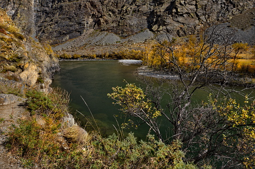 Ventisqueros River at Queulat National Park in the Chilean Patagonia, southern Chile