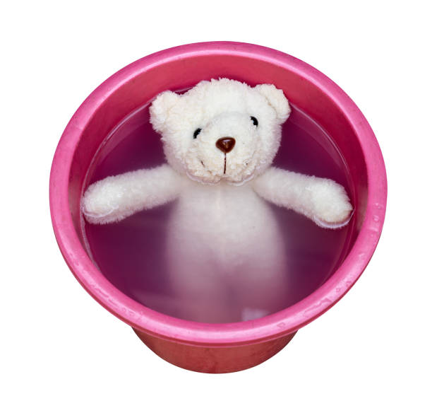 istock Washing teddy bear in water bucket,isolated on white background,clipping path 1491857977