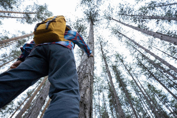 istock Man hiking in the woods in spring. 1491862683