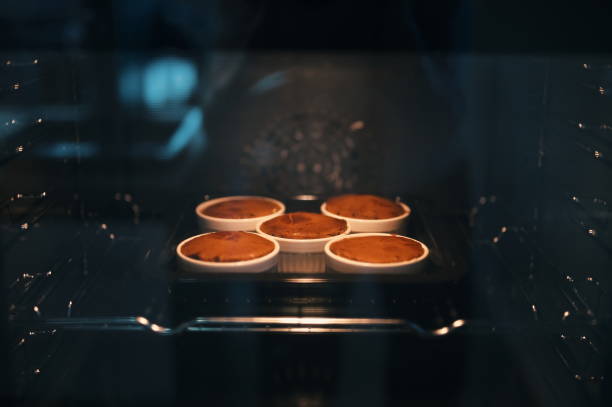 gâteau de lave au chocolat au four - lava lake photos et images de collection