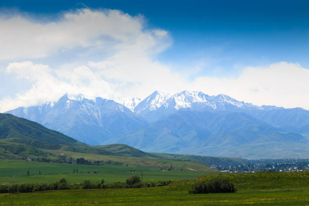 istock Beautiful spring and summer landscape. Lush green hills, high mountains. Spring blooming herbs. Kyrgyzstan 1491867590