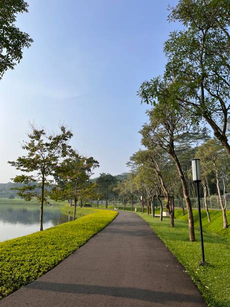 istock jogging track with lake view 1491878627