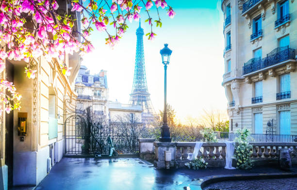 istock eiffel tour and Paris street 1491883183