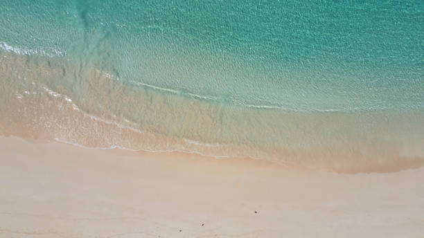 istock Aerial view of beach and waves 1491883428